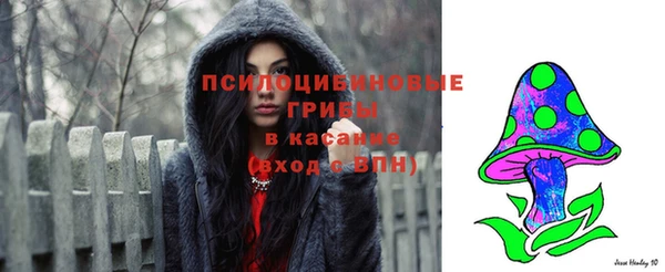 соль курить ск Ладушкин