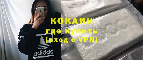 PSILOCYBIN Лагань