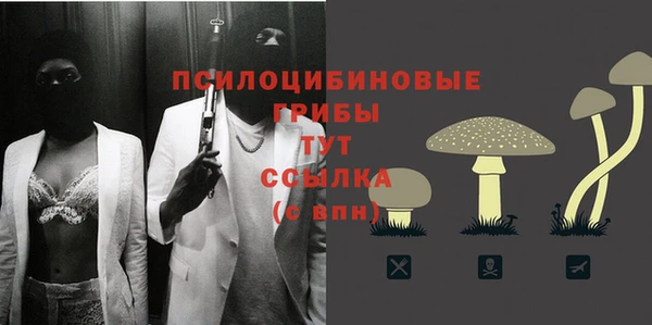 соль курить ск Ладушкин