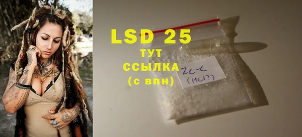 PSILOCYBIN Лагань