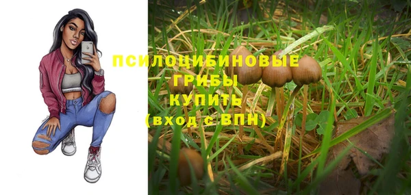 стафф Липки