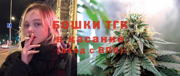 дмт Лиски