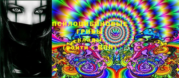 PSILOCYBIN Лагань