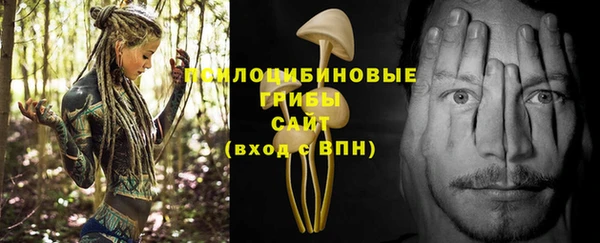 PSILOCYBIN Лагань