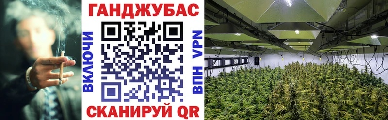 Купить где  Ахтубинск  Канабис AK-47 